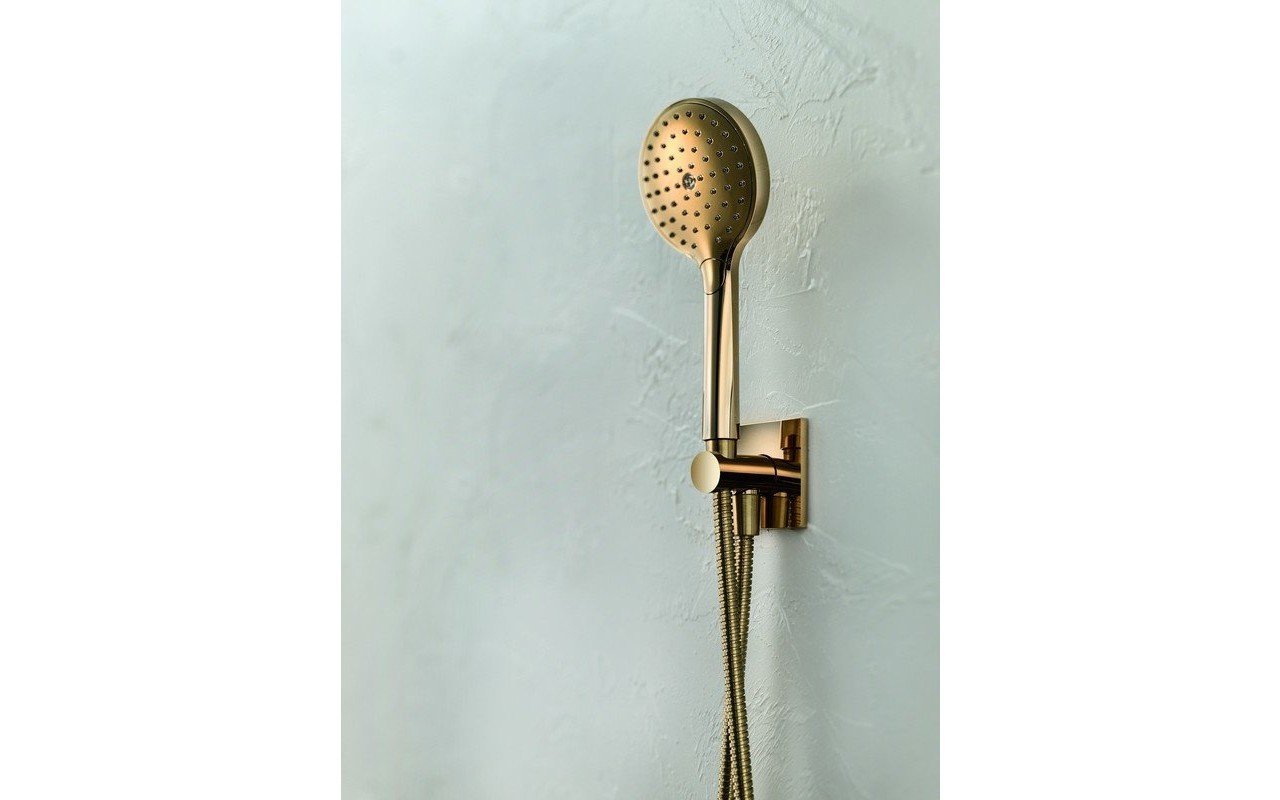 Aquatica RD-110 Handshower with Holder and Hose in Gold picture № 0